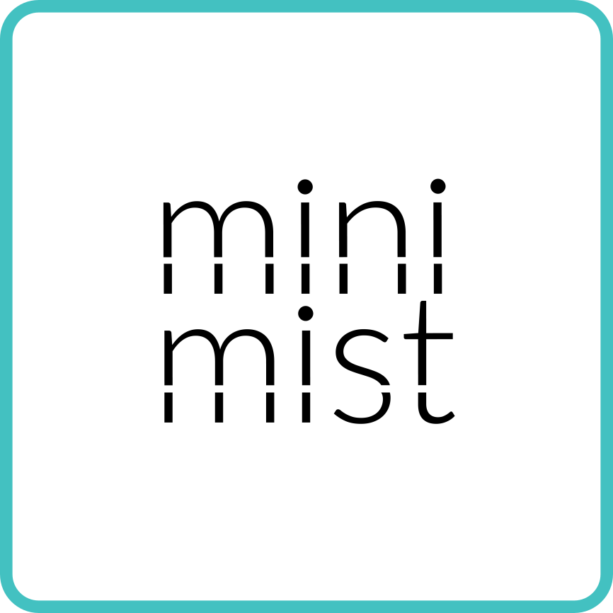 minimist